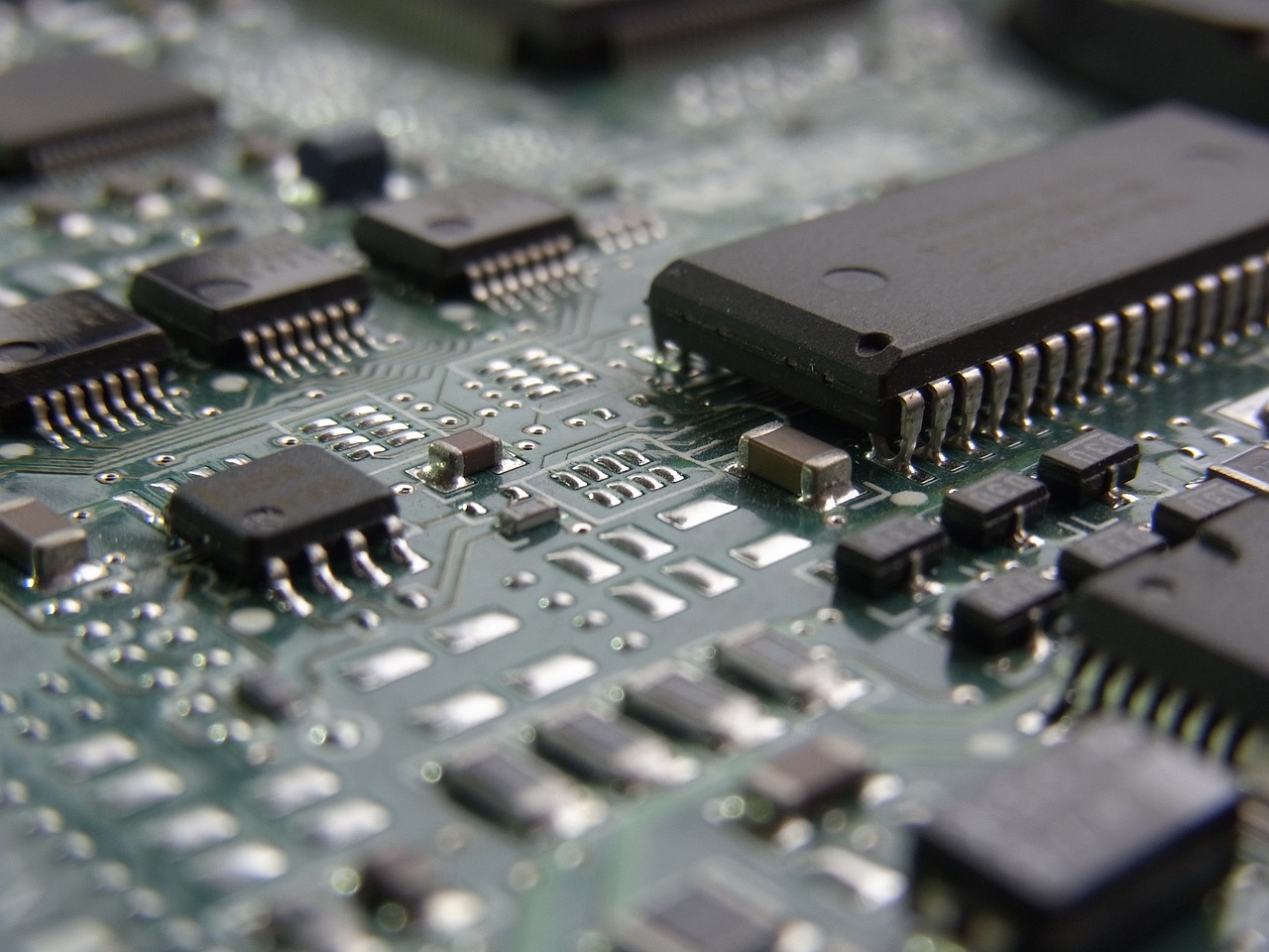 Engineering Resilience: Softwares Adaptive Immune System
