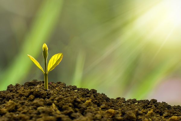 Business Model Innovation: Beyond The Value Proposition